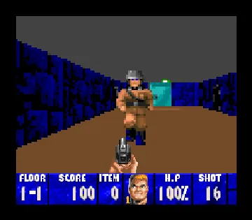 Wolfenstein 3-D (USA) screen shot game playing